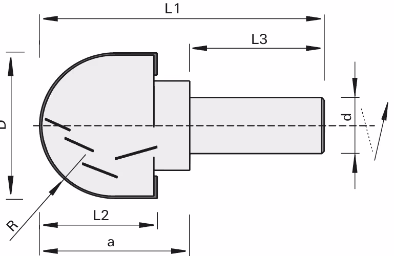 HW ball head tool body LEUCO 2