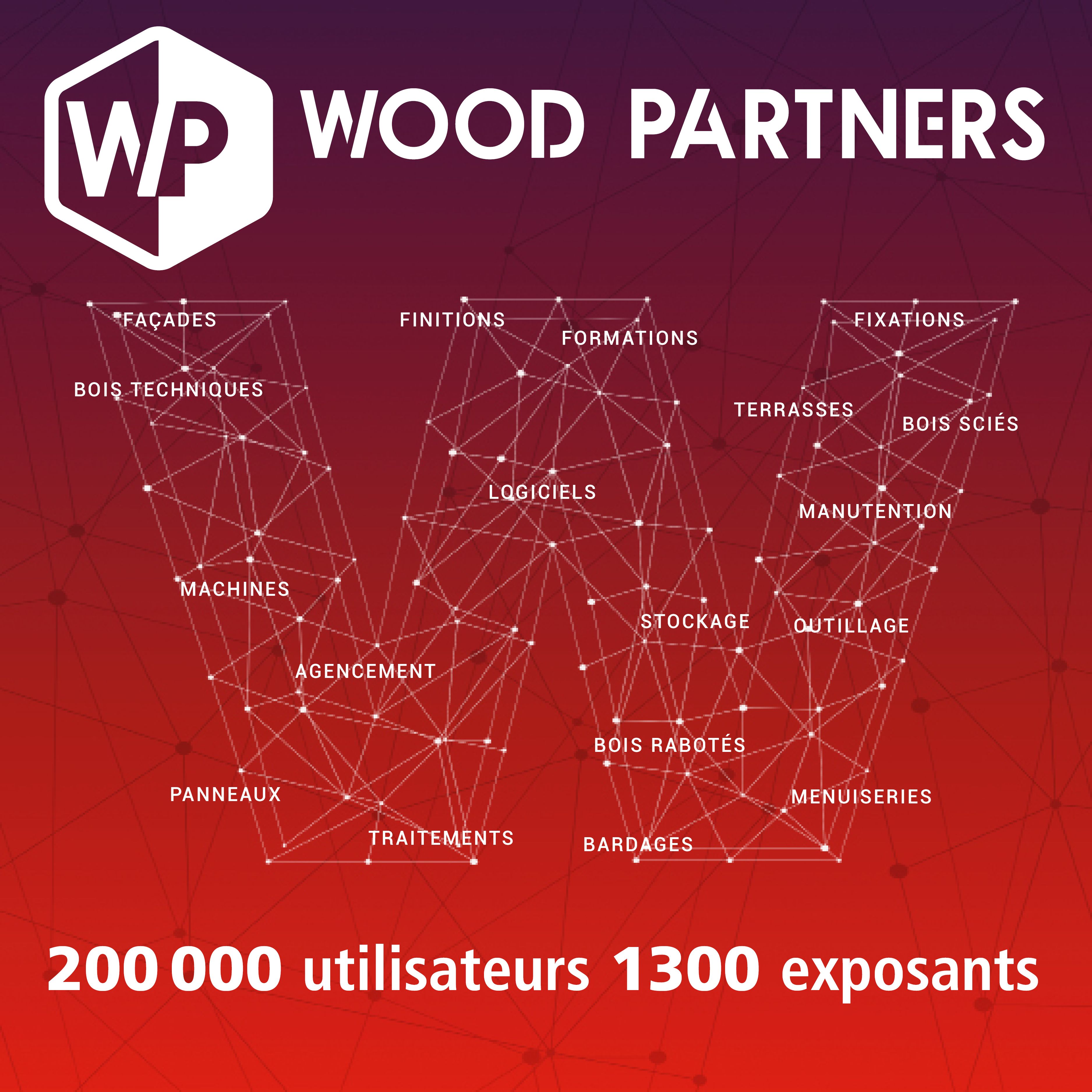 Wood, the material of the future