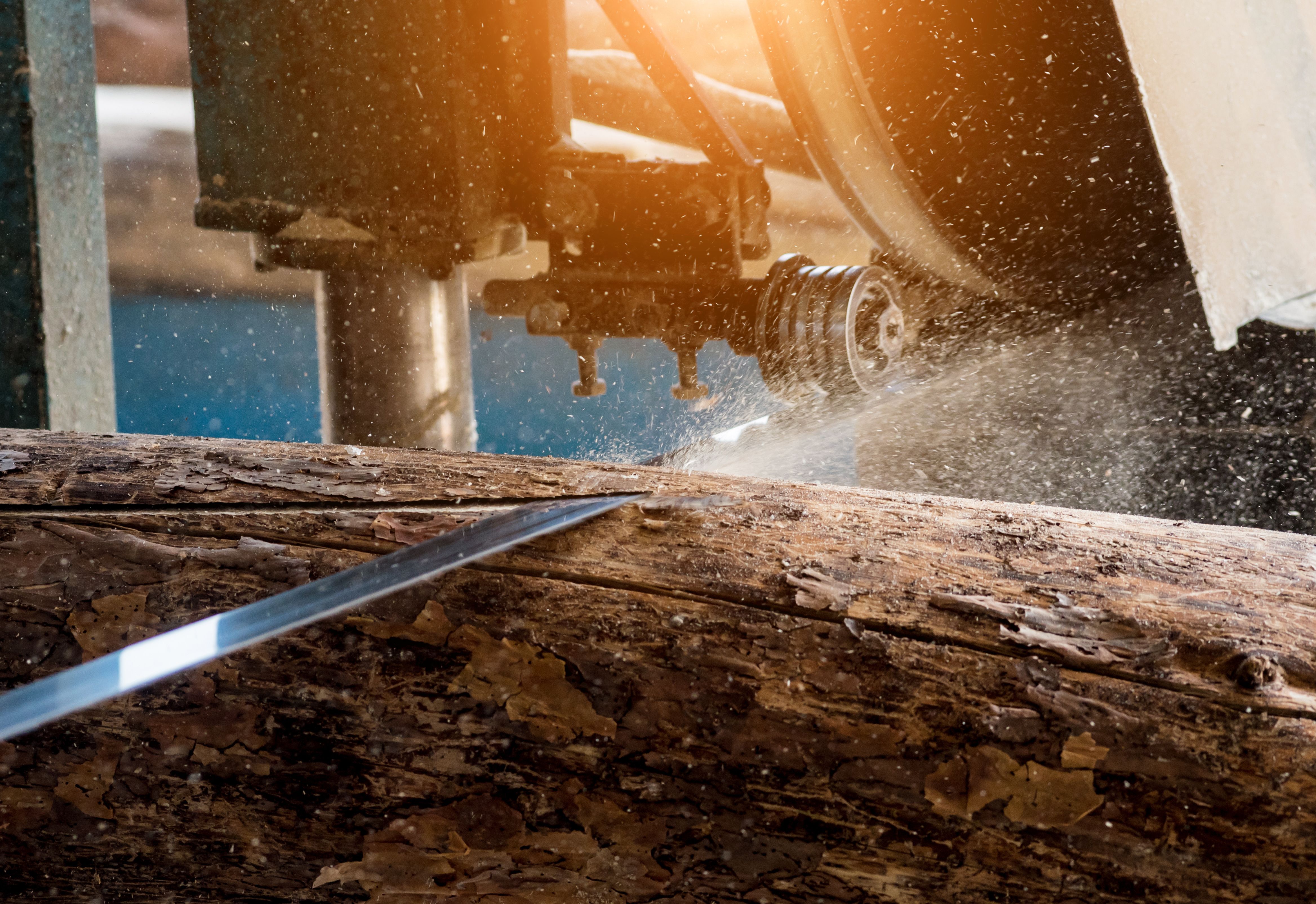 WoodPartners newsletter