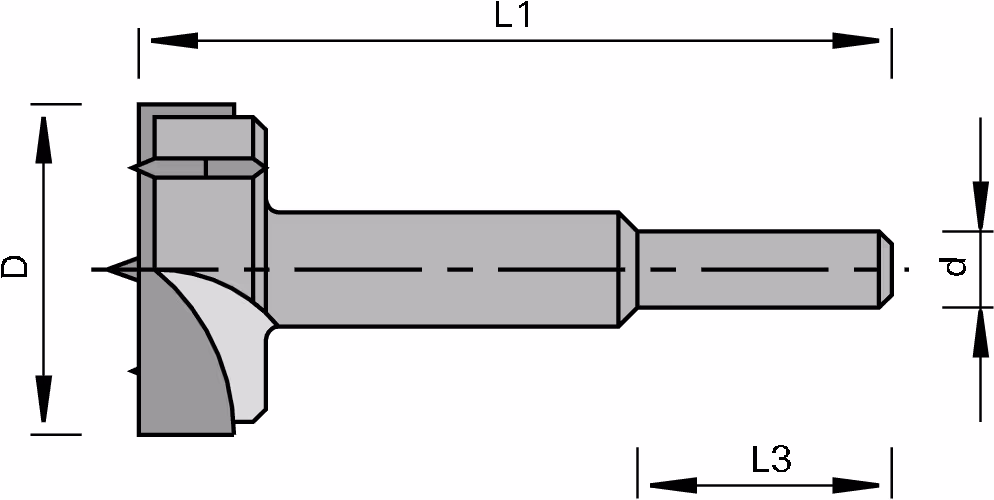 HW cylindrical head drill bit LEUCO, hand drills 2