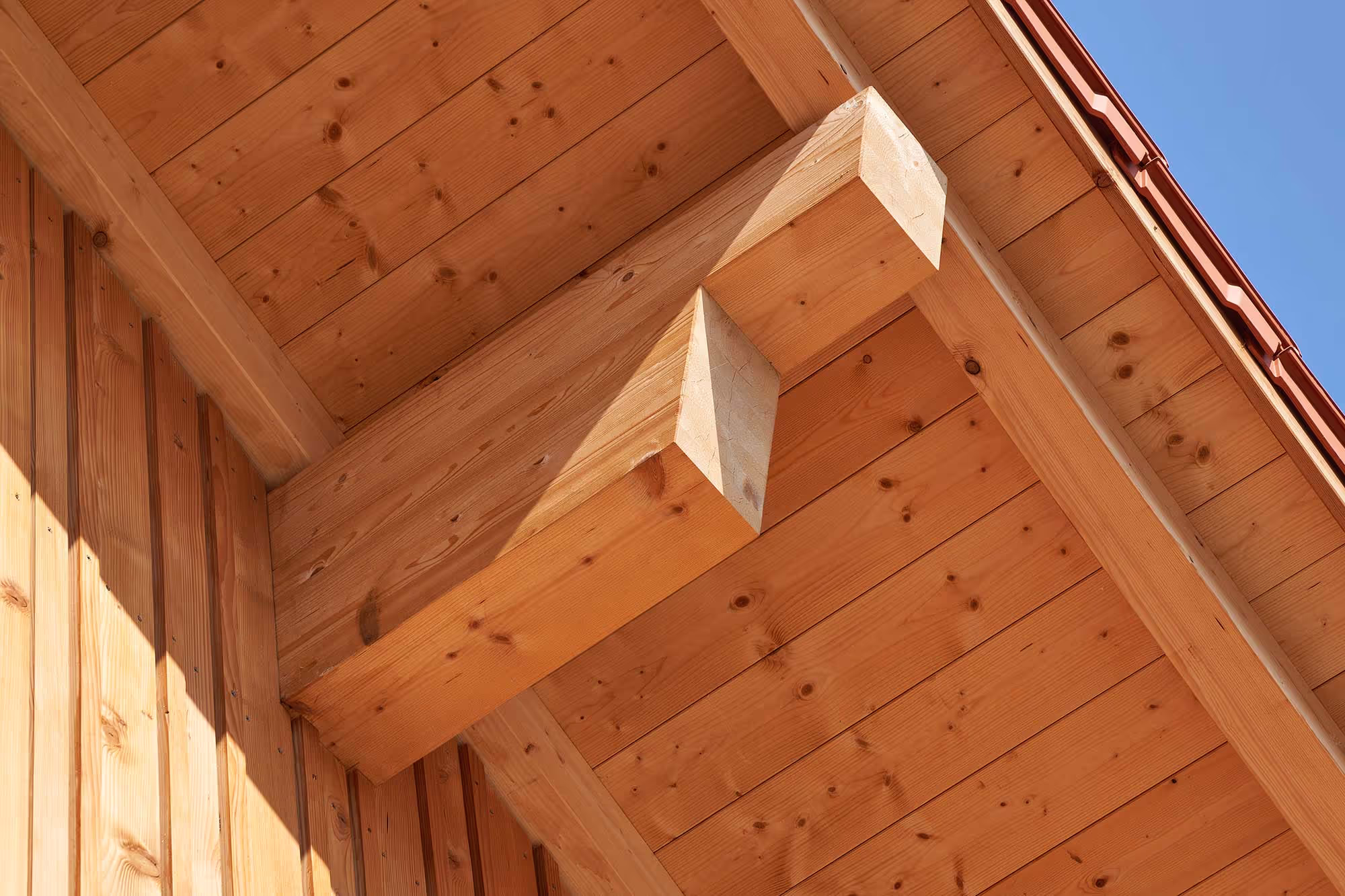 Protection des bois de bout Koralan Hirnholzschutz 2