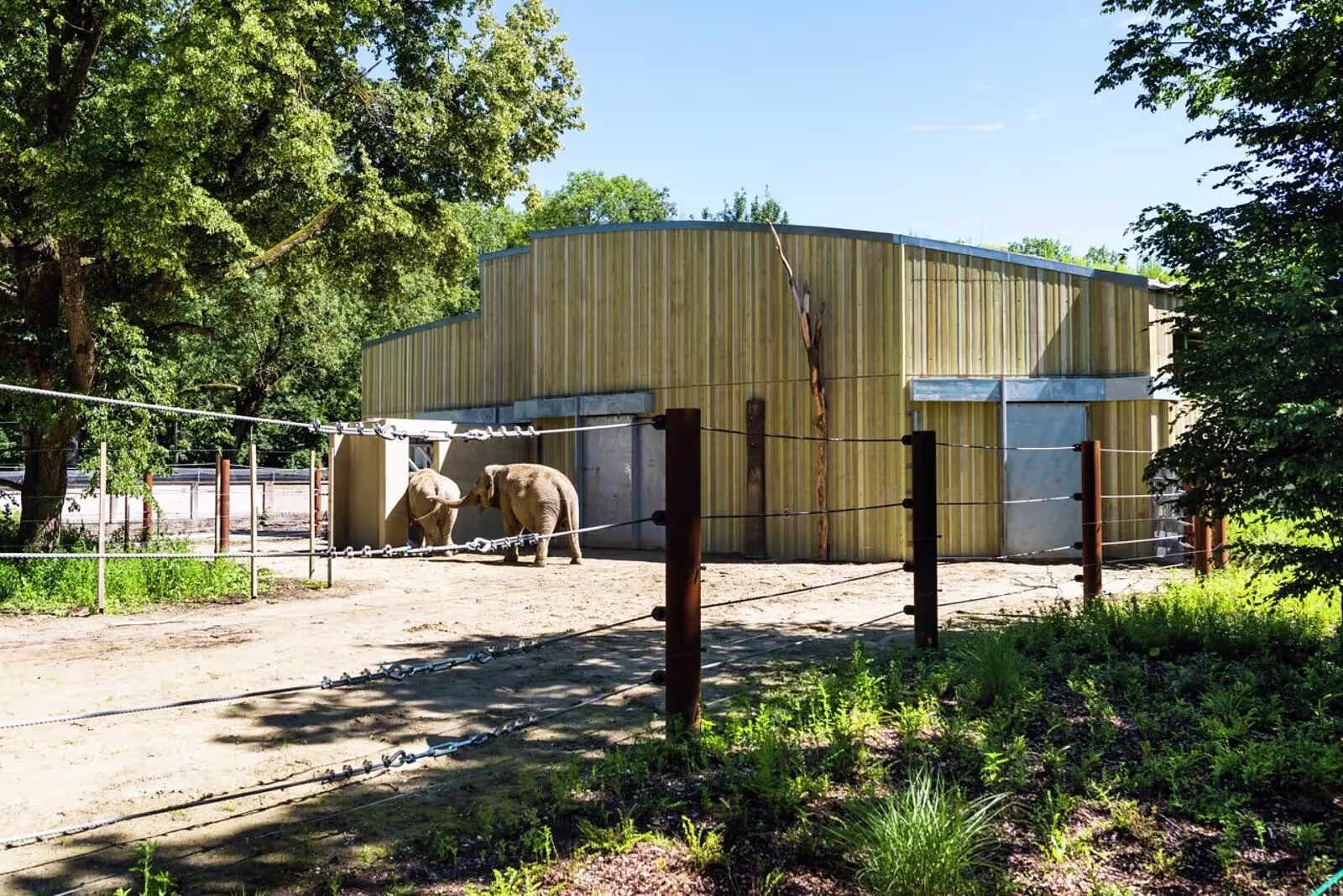 Maison des éléphants, Zoo d'Augsbourg