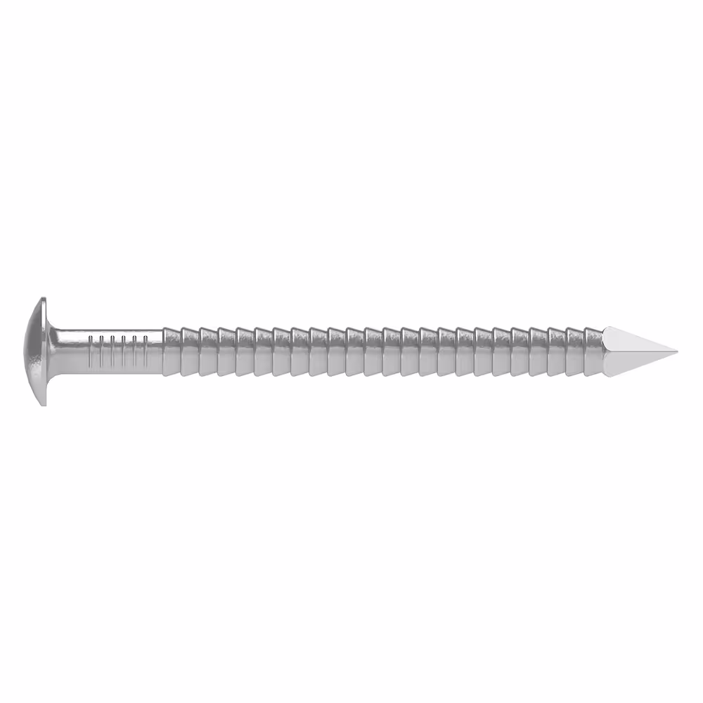 ARA4 Pointe annelée tête bombée - Inox A4 2