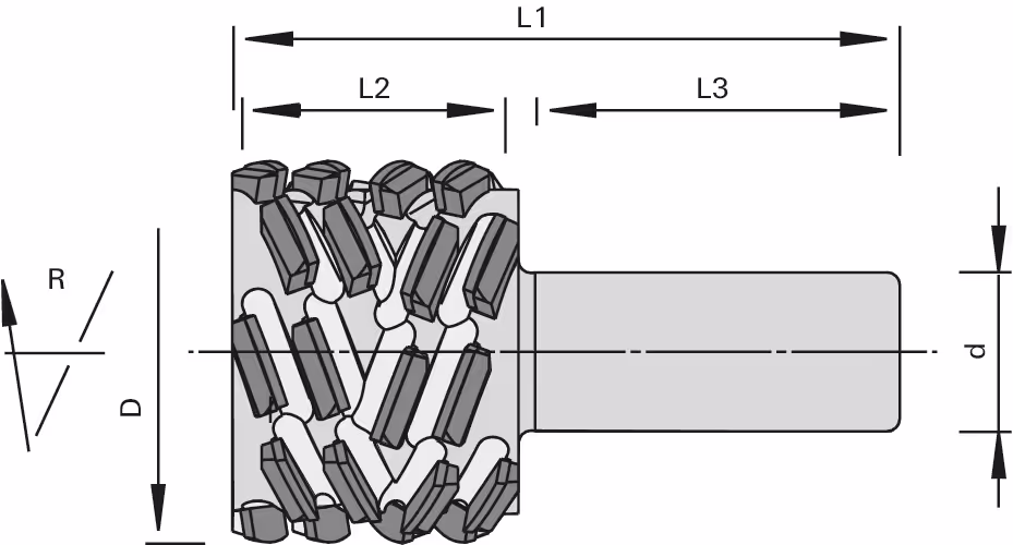 High-performance facing shank cutter p-System CM DP LEUCO 2