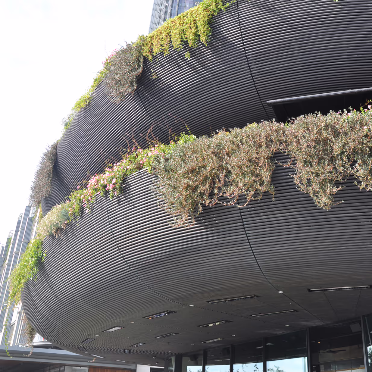 Barangaroo House, a charred timber restaurant in Sydney