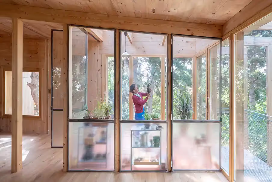 Simbionte House: architecture in locally sourced timber
