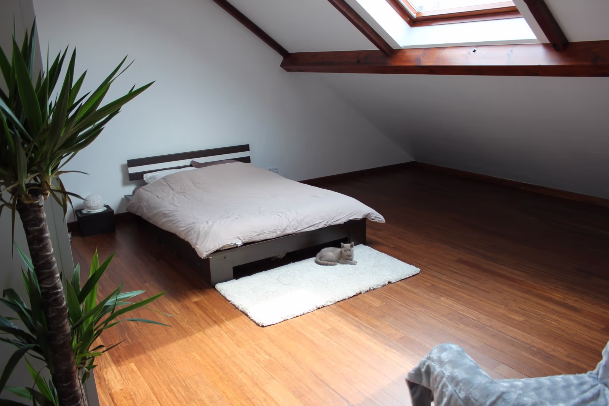 Parquet massif bambou ootouch BamWood Caramel Budget 2