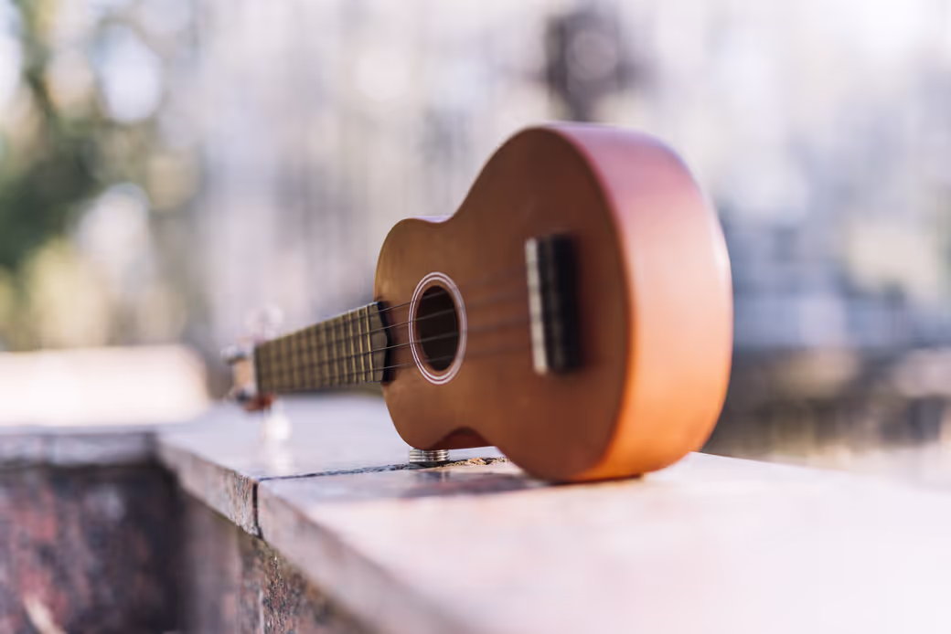 Le bois de cèdre peut également servir pour fabriquer des instruments à cordes