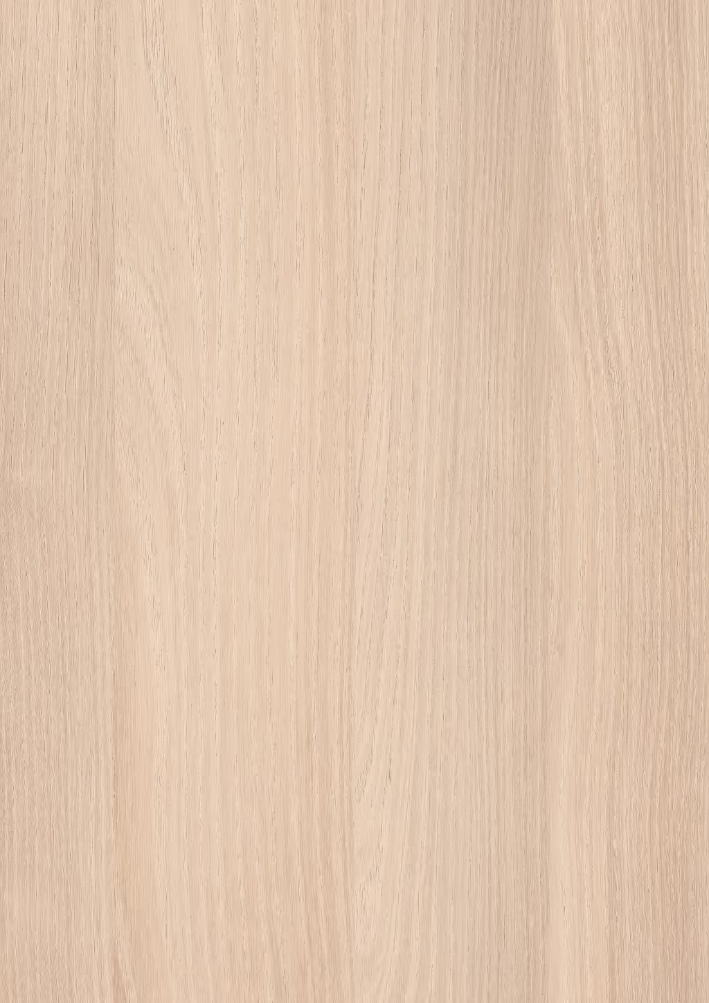 Decorative panel Egger Lakeland Acacia cream 2