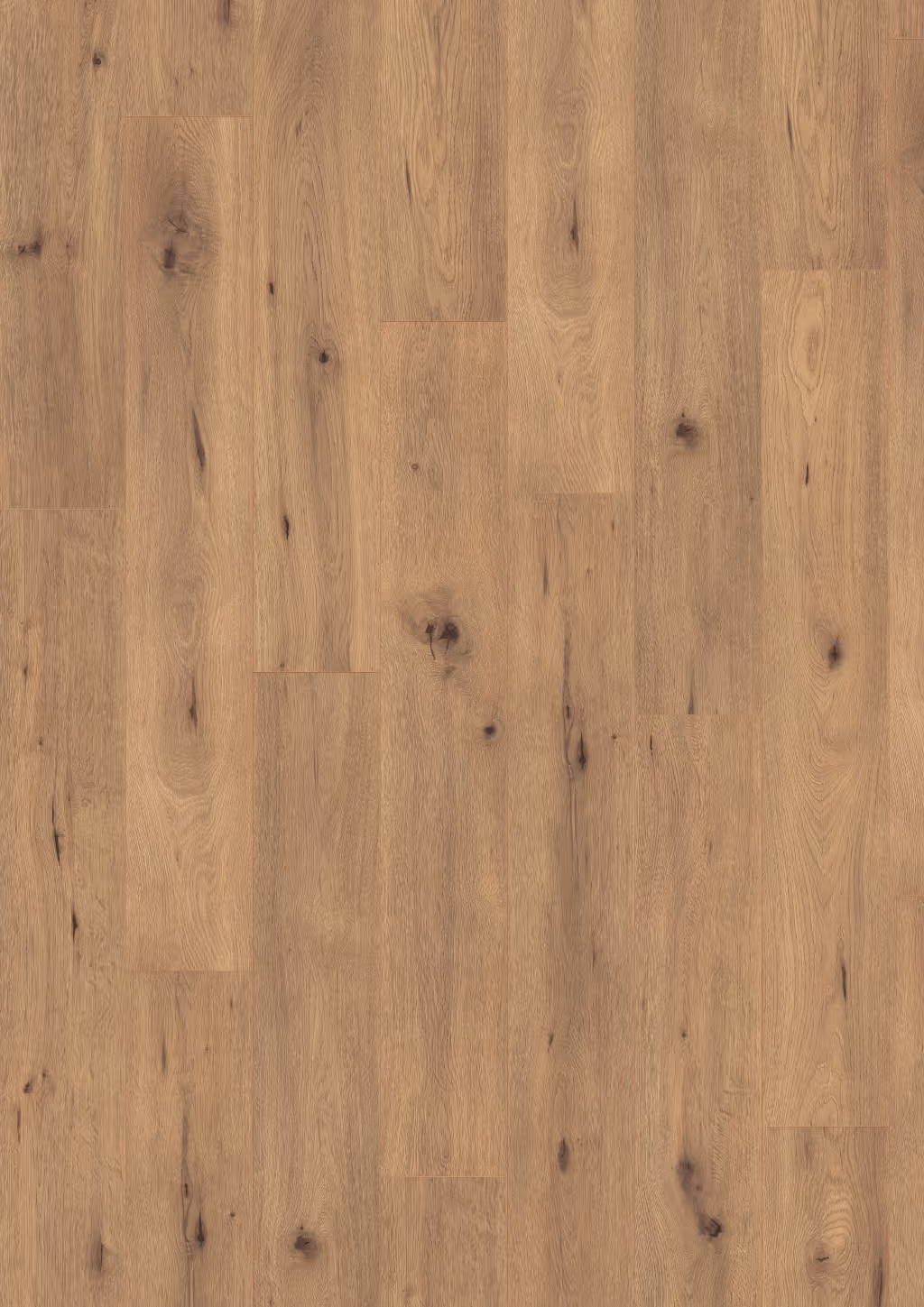 Lame de sol stratifié EGGER Natural Wild Oak