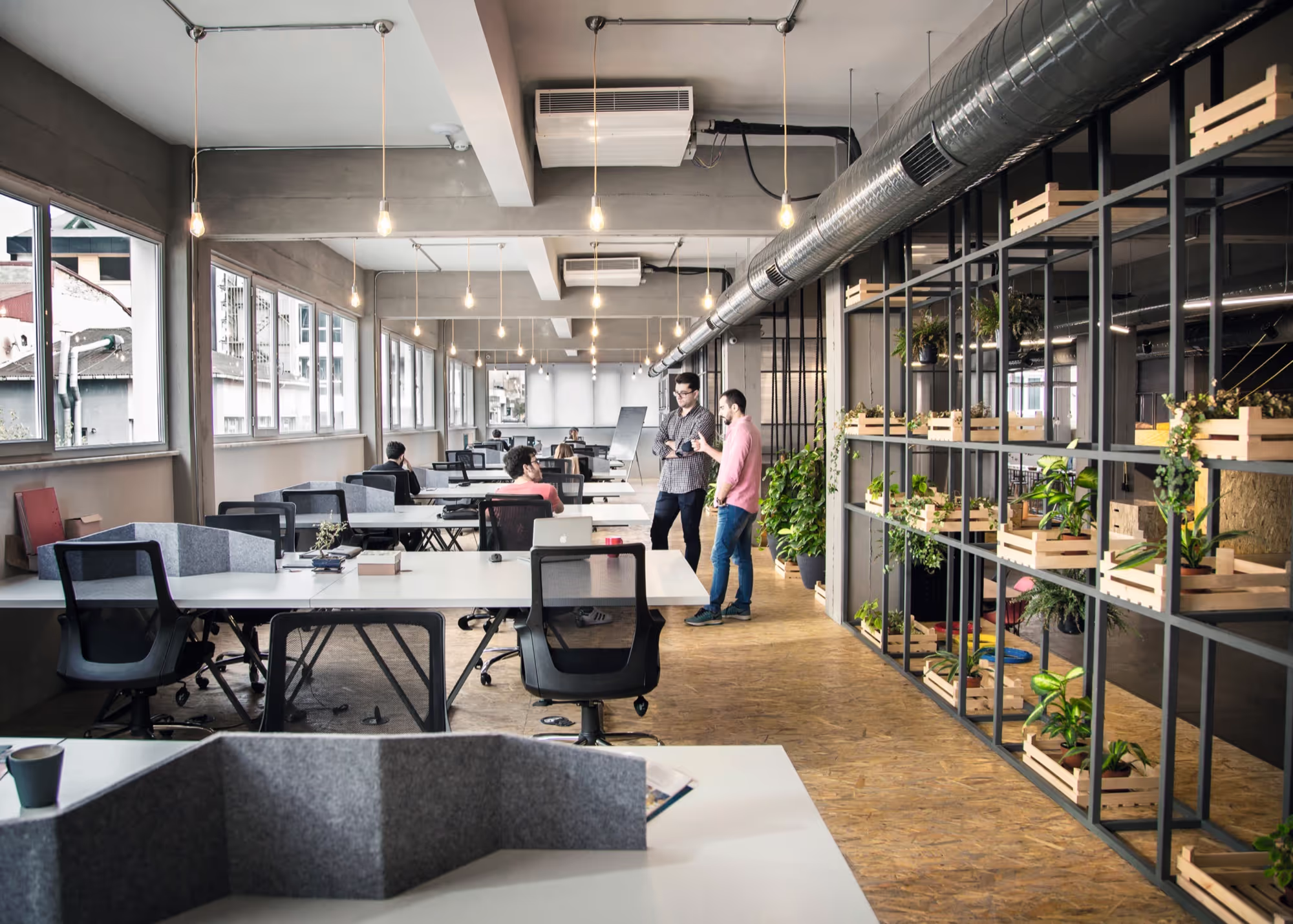 Habita coworking spaces