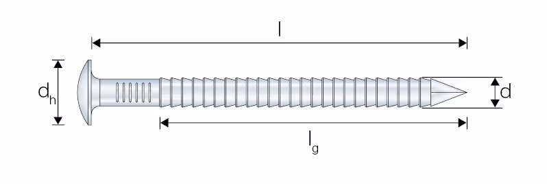 ARA4 Pointe annelée tête bombée - Inox A4 3