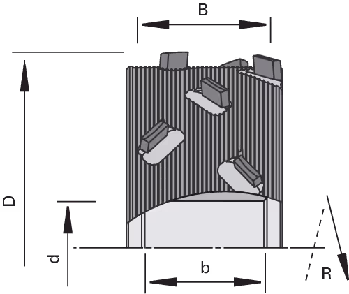 DP facing cutters DIAREX airFace LEUCO, Fibonacci 2