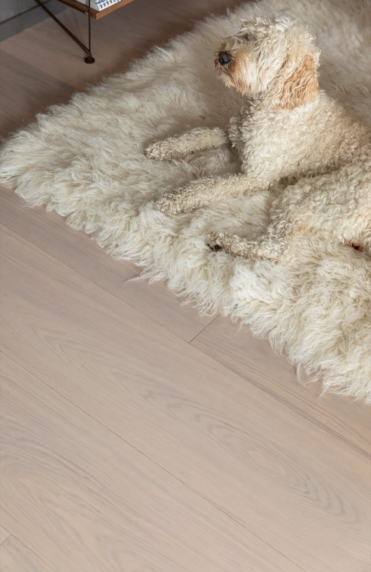 Lame de parquet hybride Bjelin Woodura Vistorp chêne Powder White 3