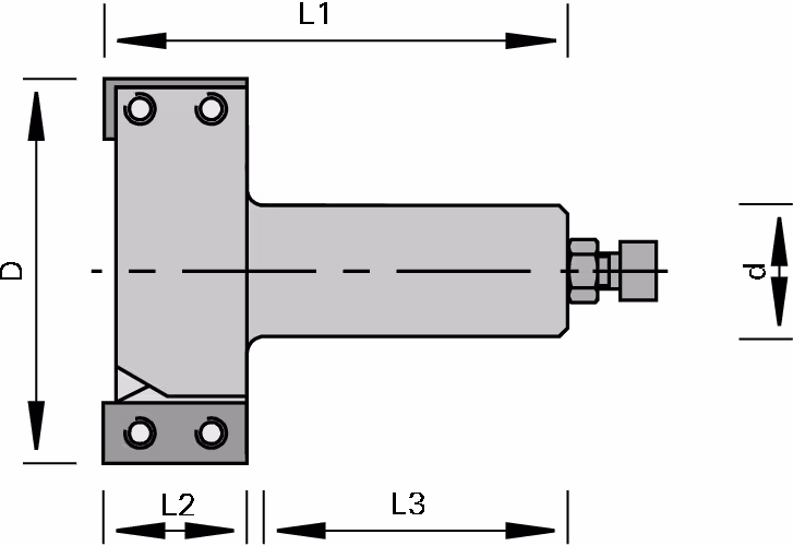 HW insert shank tool body for facing, rebating and surfacing 2