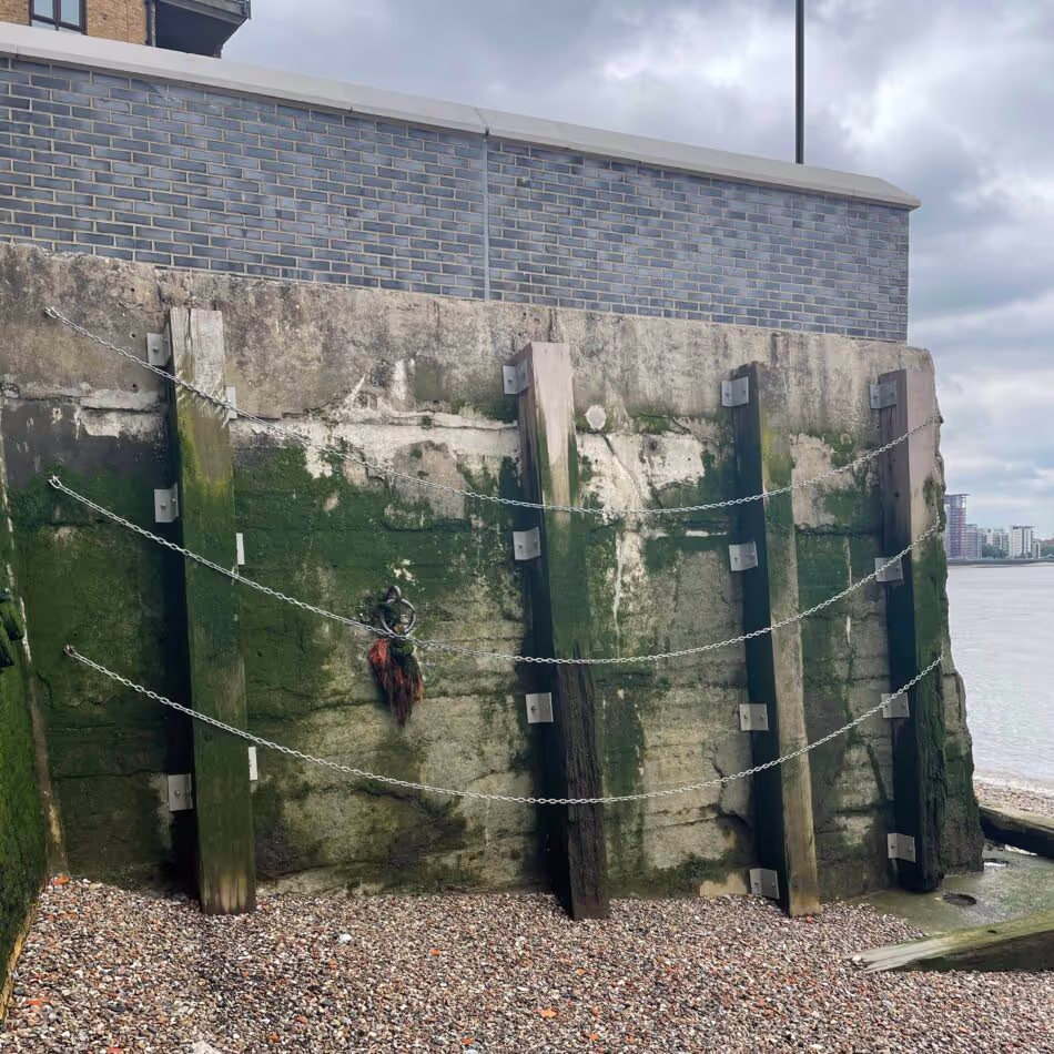 Accoya used for riverbank defences on the Thames