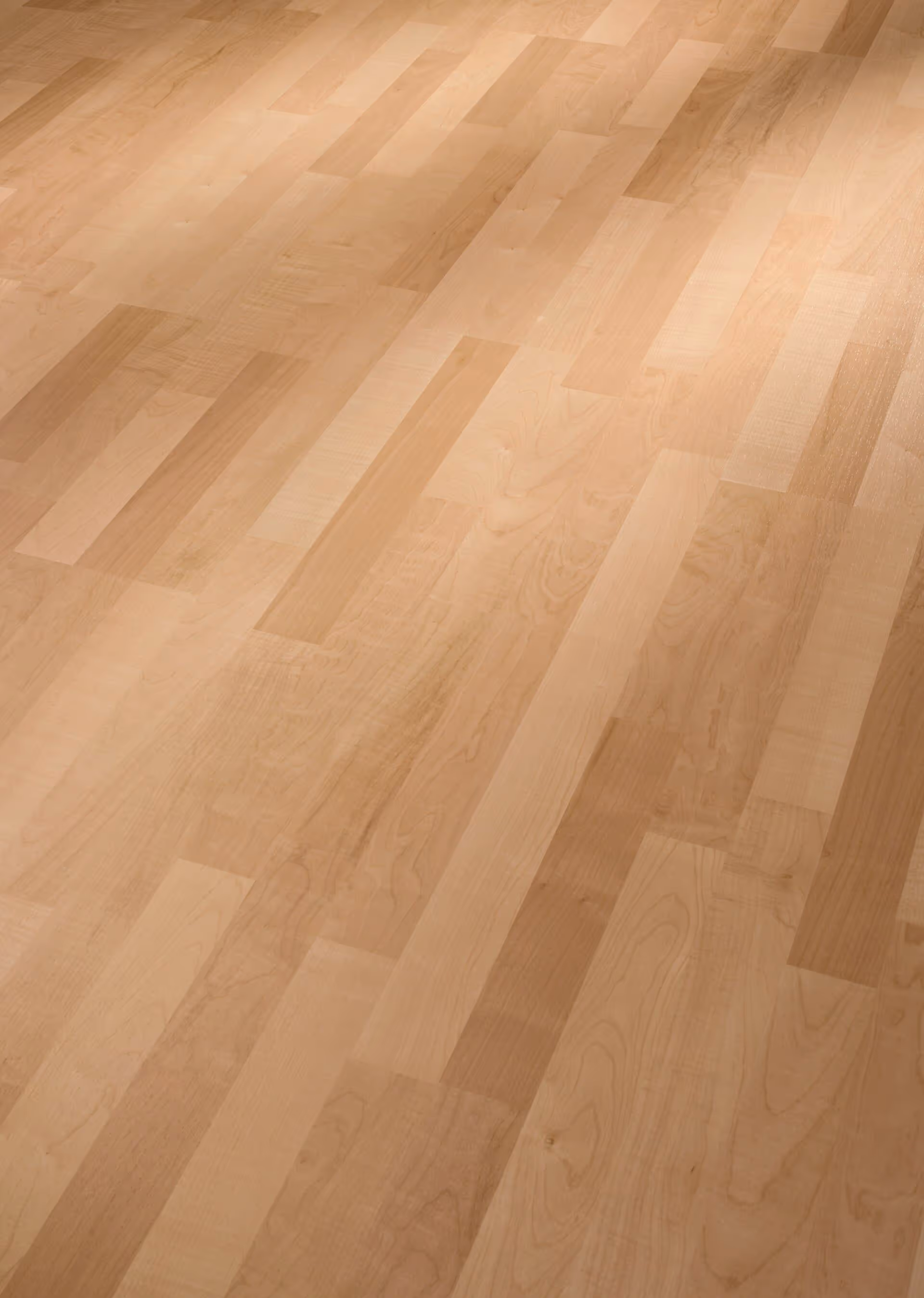 Sol stratifié Meister LC 55 Maple 00202 2