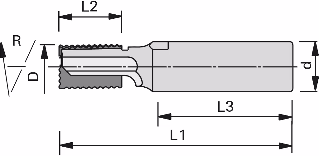 DP high-performance roughing shank cutter LEUCO 2