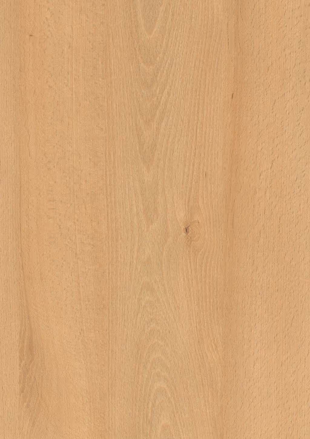 Panneau décoratif Egger Hêtre Willow 2