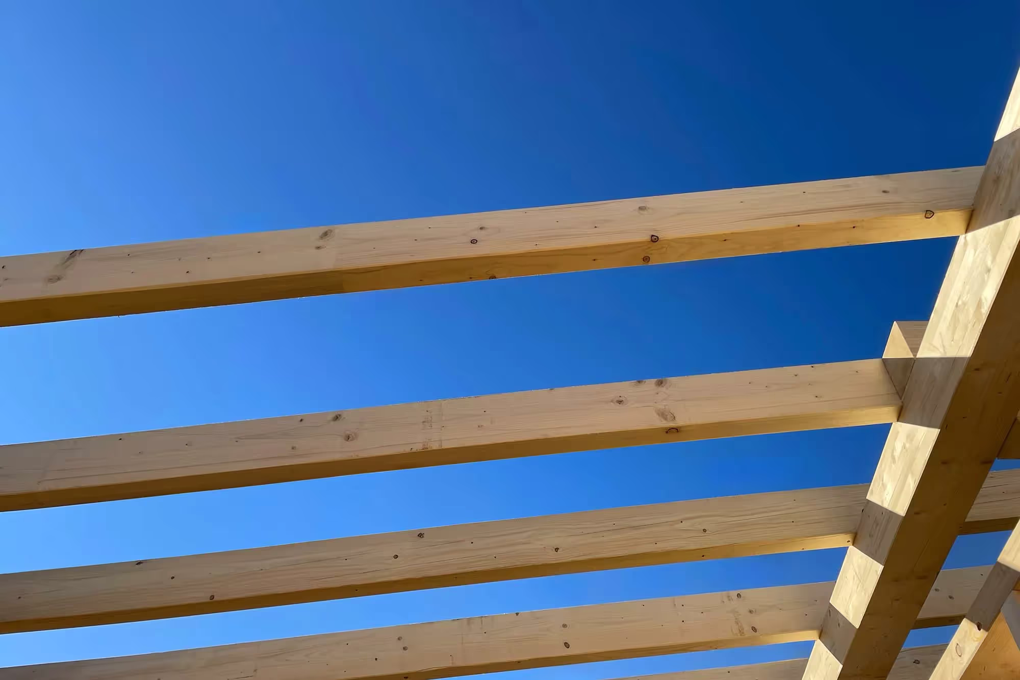 Produit de préservation bois prêt à l'emploi Korasit NG 10 2