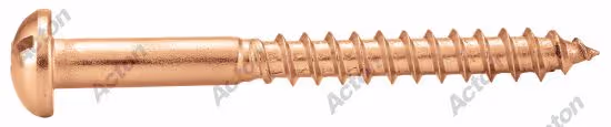 Slotted round head wood screw DIN 96, brass Acton 2