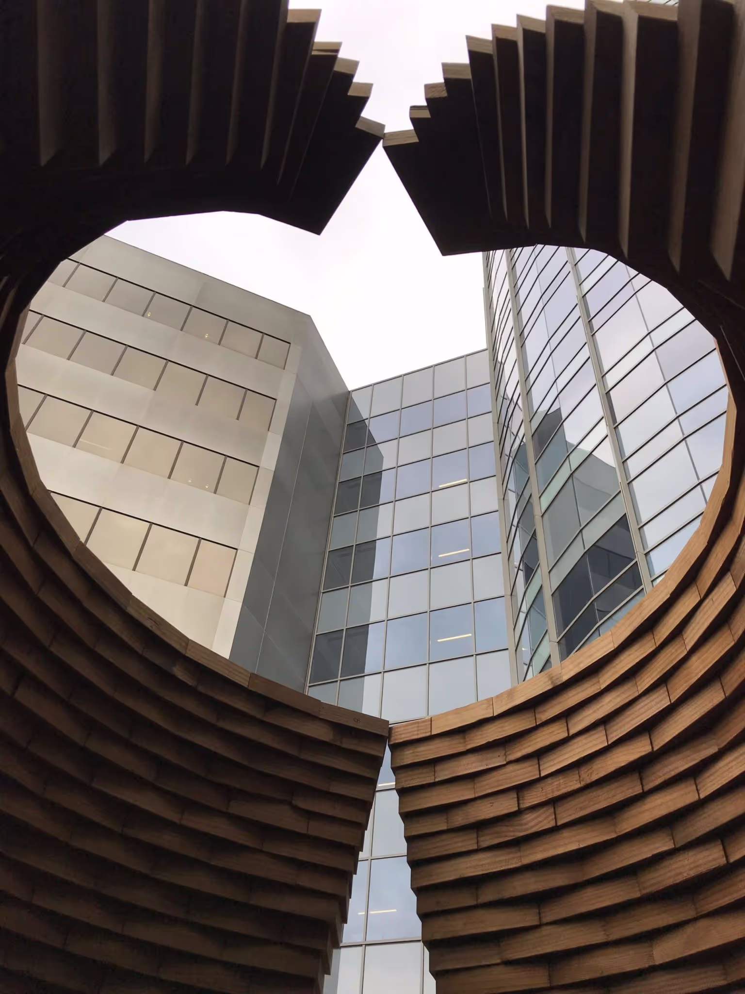 Heart sculpture, Inova Cancer Institute, Fairfax