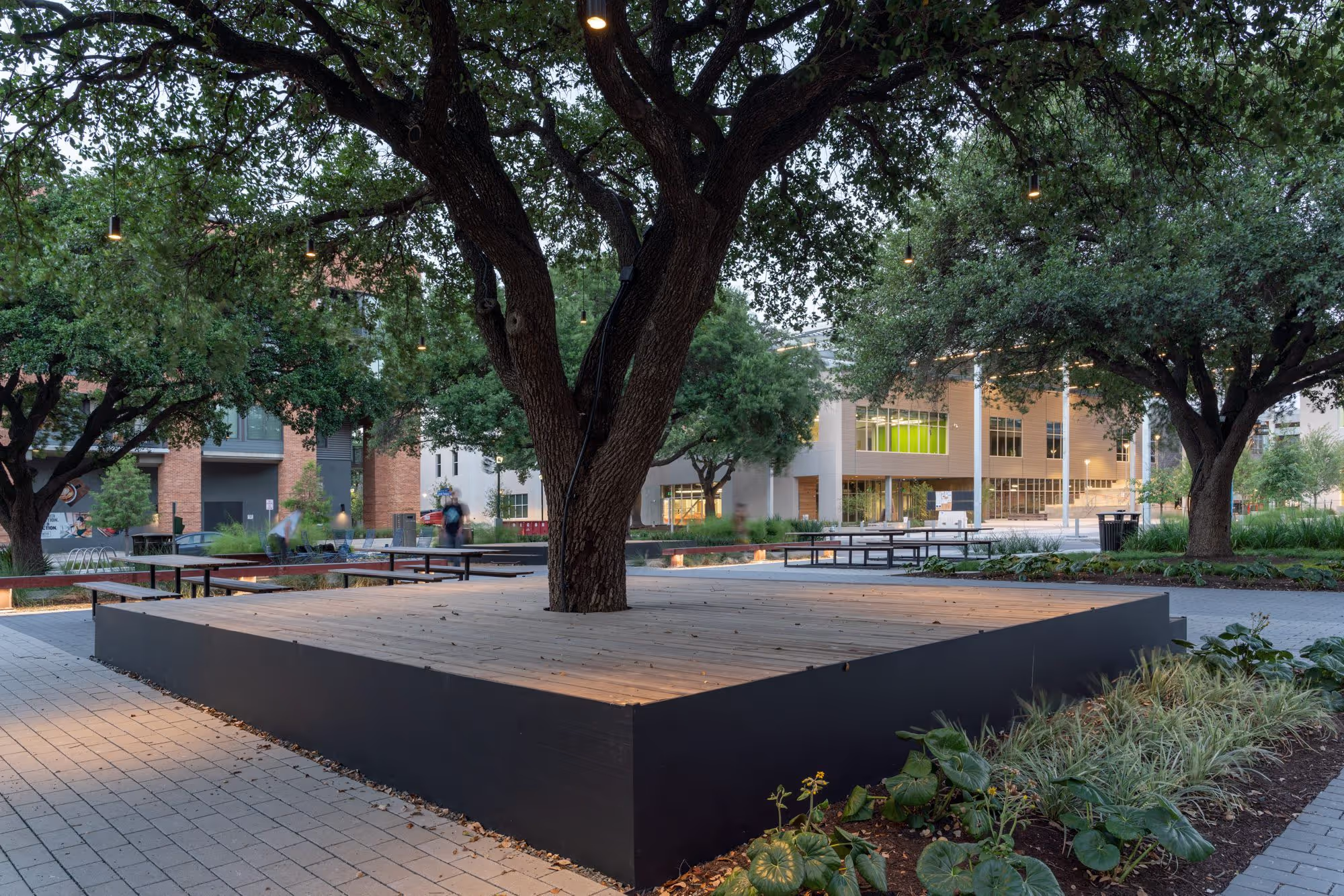 Fontaine Plaza, Austin