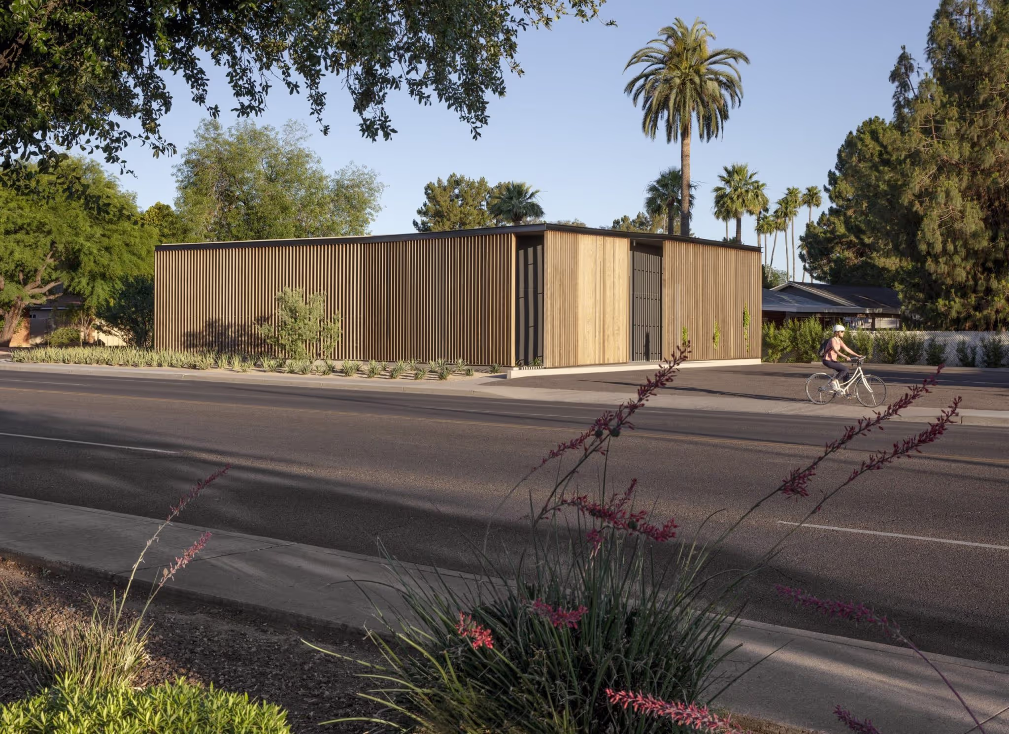 Studio Ma office, Phoenix