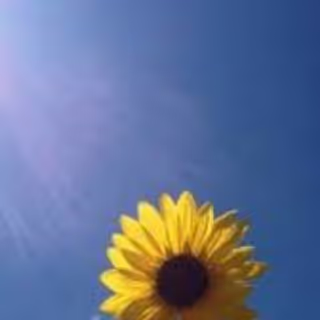 Logo | Test Manufacturer Company 1112test1