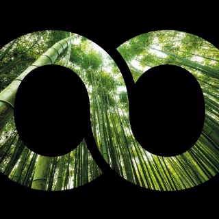 Logo | BambooTouch