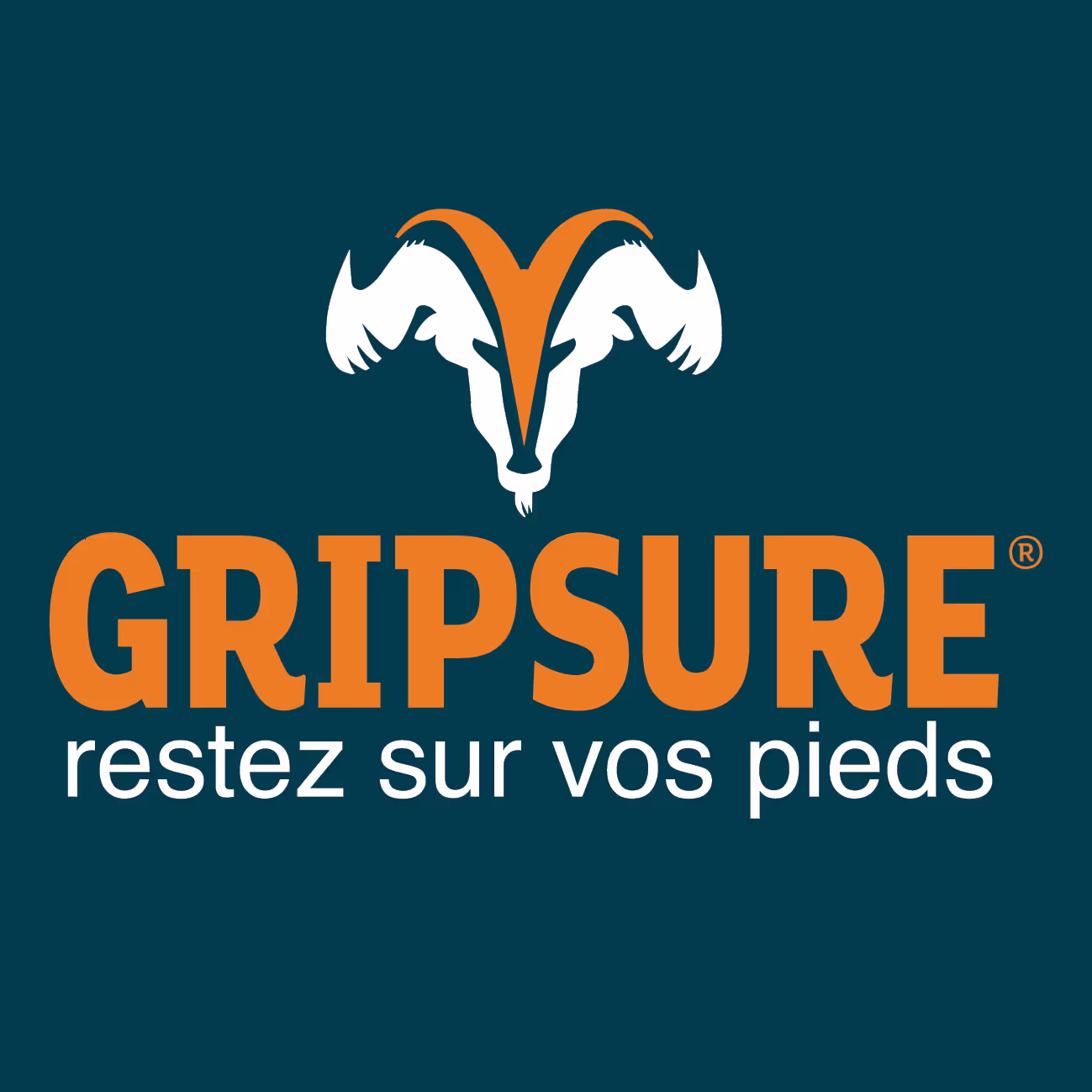 Logo | GRIPSURE 
