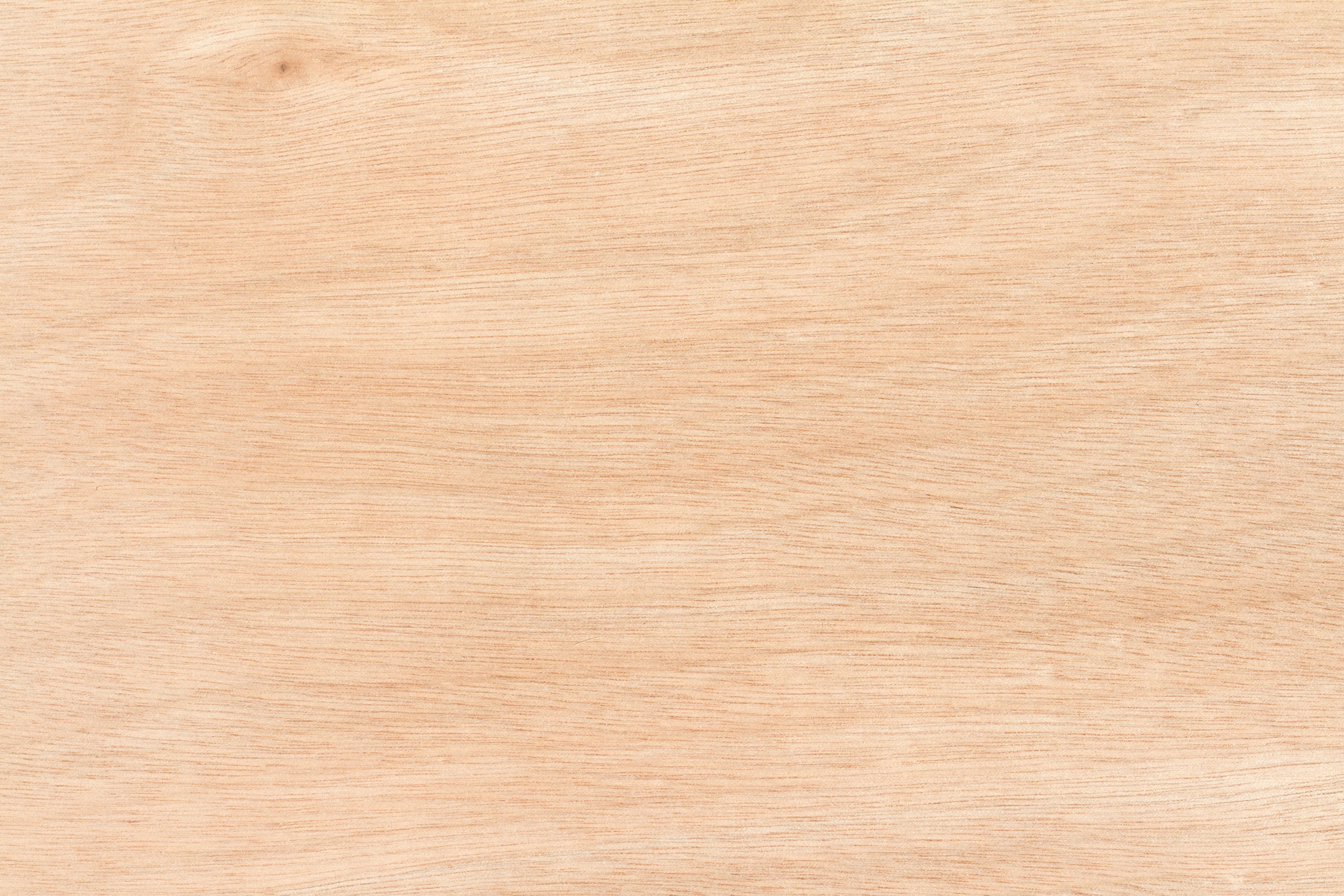Peuplier Guide Complet sur le Bois de Peuplier WoodPartners — free download